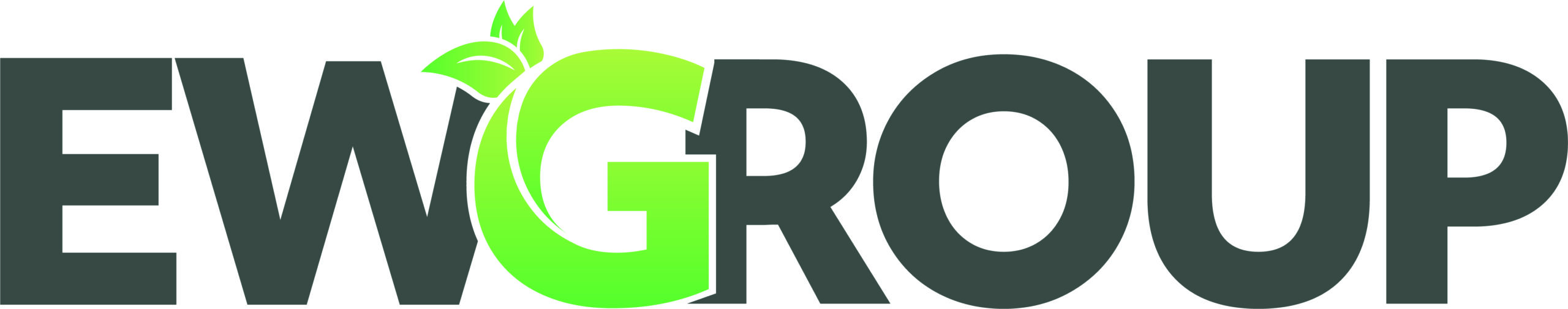 EWGGROUP logo gra╠è